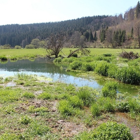 Im Frühling 2019 (3)